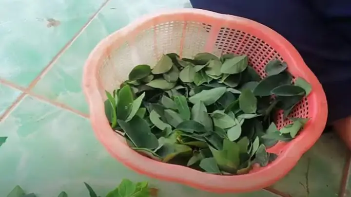 Hướng Dẫn Chi Tiết Cách Nấu Canh Mướp Chay Thanh Mát, Bổ Dưỡng Hướng Dẫn Chi Tiết Cách Nấu Canh Mướp Chay Thanh Mát, Bổ Dưỡng