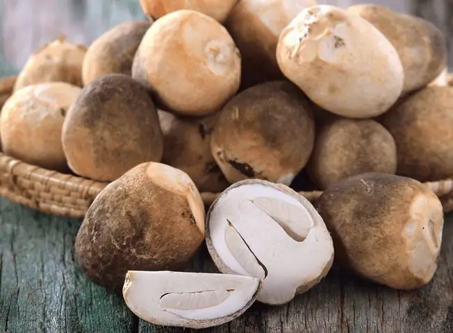 Cách chọn mua nấm rơm tươi ngon Cách chọn mua nấm rơm tươi ngon