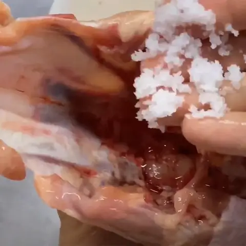 Canh Nấm Tuyết: Hướng Dẫn Nấu Đơn Giản, Bổ Dưỡng Tại Nhà