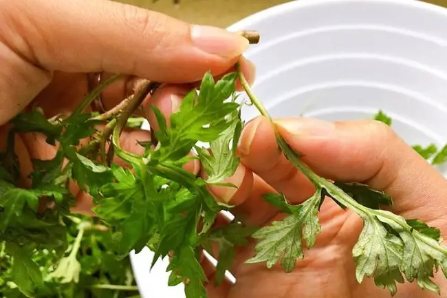 Cách Nấu Canh Ngải Cứu Ngon Chuẩn Vị, Tăng Cường Sức Khỏe