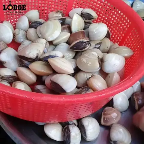 Cách Nấu Canh Ngao Chua Cả Vỏ Chuẩn Vị, Thanh Mát