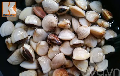 Cách Nấu Canh Ngao Chua Với Sấu Ngon Chuẩn Vị Tại Nhà