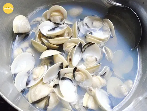 Cách Nấu Canh Ngao Đậu Phụ Chuẩn Vị, Thanh Mát Cho Gia Đình Cách Nấu Canh Ngao Đậu Phụ Chuẩn Vị, Thanh Mát Cho Gia Đình