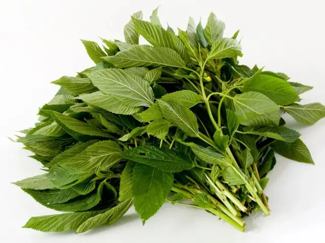 Cách nấu canh ngao với rau đay thơm ngon, chuẩn vị tại nhà