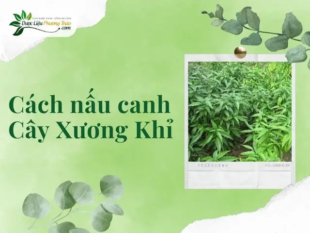 Tuyệt chiêu nấu canh ngon nhất: Từ nguyên liệu đến bí quyết nêm nếm