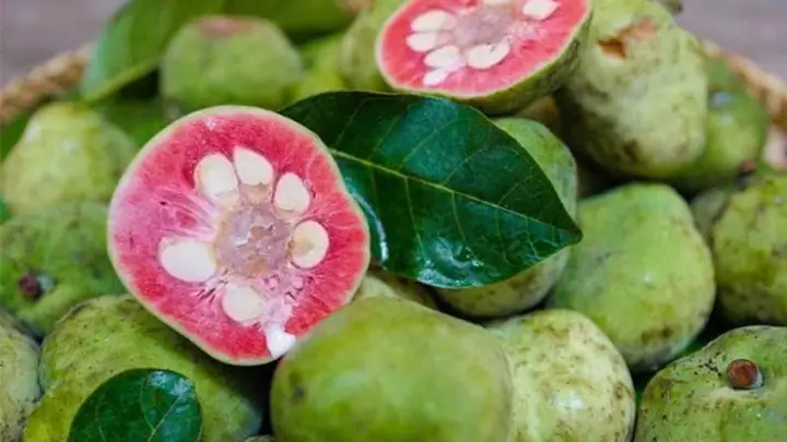 Cách Nấu Canh Quả Chay: Hướng Dẫn Chi Tiết & Bí Quyết Ngon