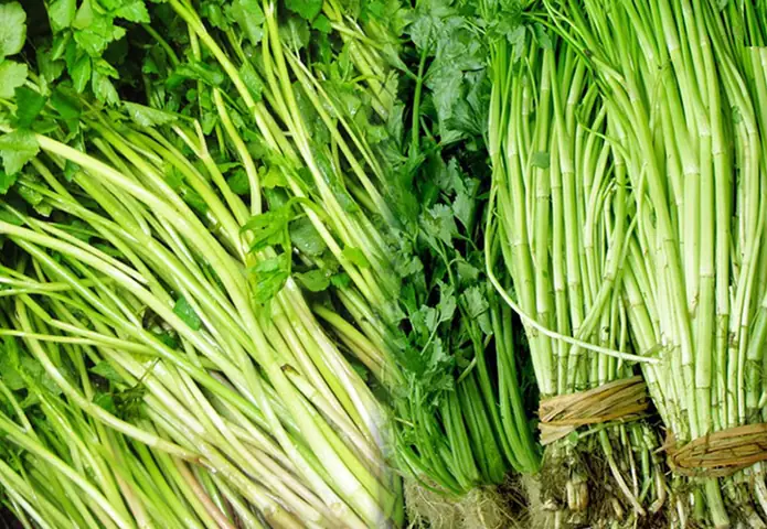 cách nấu canh rau cần cách nấu canh rau cần