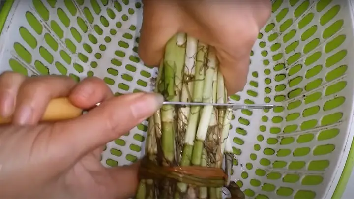 Cách Nấu Canh Rau Cần Với Thịt Bò Thanh Mát, Bổ Dưỡng