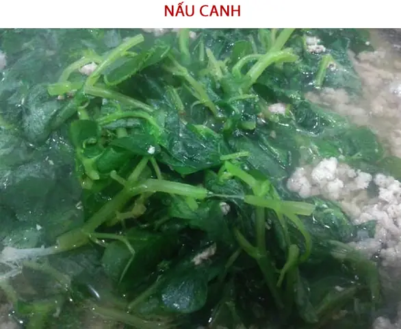 Cách Nấu Canh Rau Càng Cua Ngon Thanh Mát Đậm Đà Hương Vị