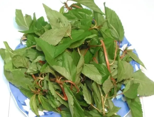 Hướng Dẫn Từng Bước Nấu Canh Rau Đay Cua Đồng Tại Nhà