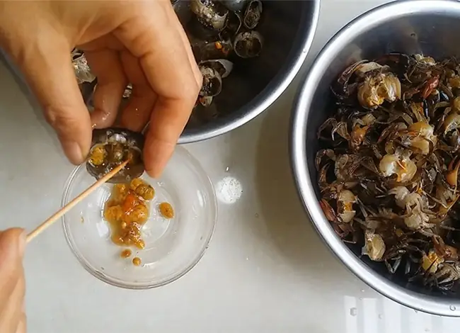 Cách Nấu Canh Rau Đay Không Bị Nhớt: Bí Quyết Đậm Đà Chuẩn Vị