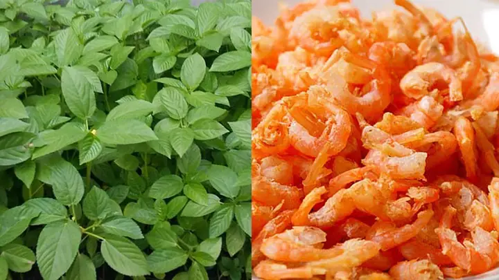 Cách Nấu Canh Rau Đay Tôm Đơn Giản, Thanh Mát Chuẩn Vị Gia Đình