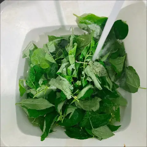 Cách Nấu Canh Rau Đay Tôm Đơn Giản, Thanh Mát Chuẩn Vị Gia Đình