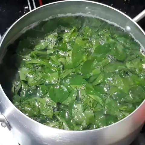 Cách Nấu Canh Rau Ngót Chay Thanh Ngọt, Đậm Đà Chuẩn Vị Tại Nhà Cách Nấu Canh Rau Ngót Chay Thanh Ngọt, Đậm Đà Chuẩn Vị Tại Nhà