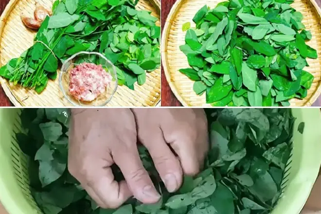 Cách Nấu Canh Rau Ngót Cho Bà Đẻ Thơm Ngon, Bổ Dưỡng