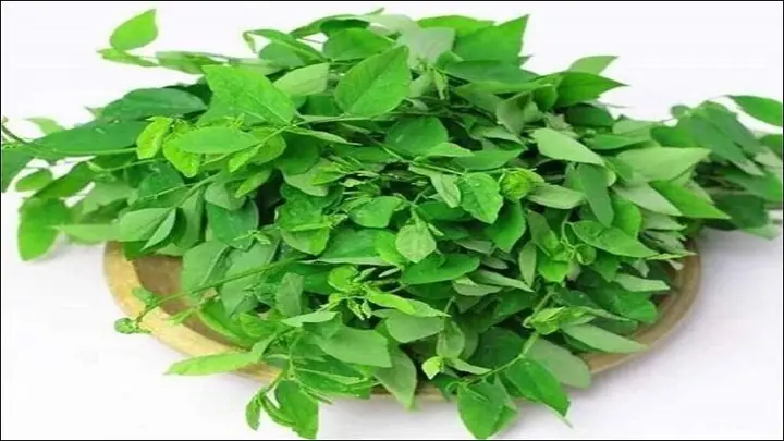 Cách Nấu Canh Rau Ngót Thịt Lợn Nạc: Ngọt Thanh, Dinh Dưỡng