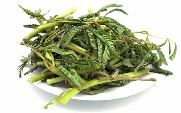 Cách Nấu Canh Rau Rút Với Cá Ngọt Thanh, Đậm Đà Hương Vị Việt Cách Nấu Canh Rau Rút Với Cá Ngọt Thanh, Đậm Đà Hương Vị Việt