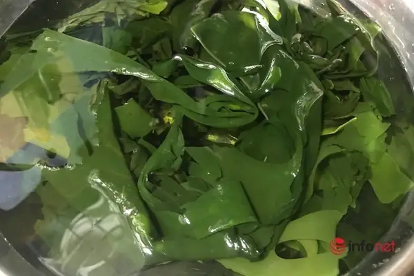 Cách nấu canh rong biển ngao thanh mát, bổ dưỡng tại nhà Cách nấu canh rong biển ngao thanh mát, bổ dưỡng tại nhà