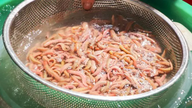 Cách Nấu Canh Rươi Rau Cải Thơm Ngon Bổ Dưỡng Tại Nhà