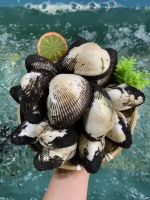 Cách Nấu Canh Sò Lông Chua Ngọt Thanh Mát Chuẩn Vị Gia Đình