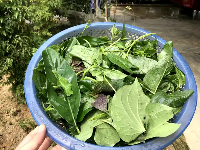 Cách Nấu Canh Tập Tàng Thơm Ngon, Thanh Mát Cho Bữa Cơm Việt