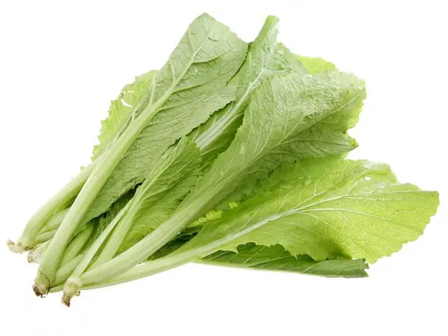 Rau cải không nên nấu chung với thịt gà.