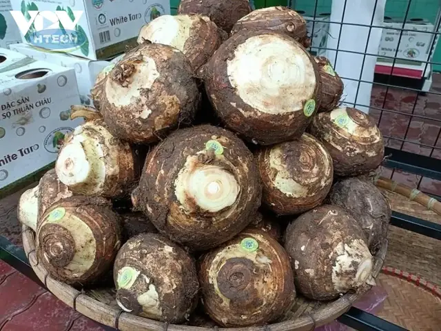 Cách Nấu Canh Vịt Khoai Sọ Rau Muống Thơm Ngon, Đậm Đà Chuẩn Vị