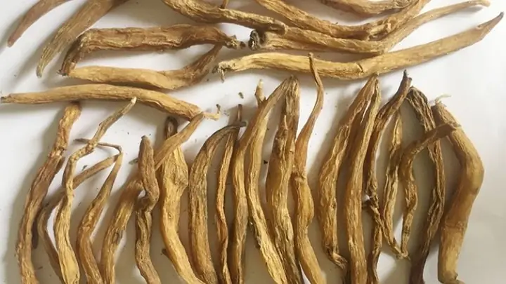 Cách Nấu Cao Bách Bộ Tại Nhà Đơn Giản, Hiệu Quả