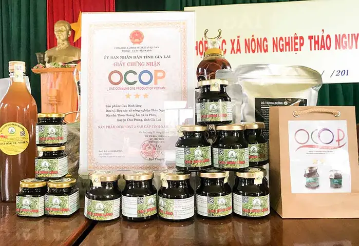 Cách Nấu Cao Cây Đinh Lăng Tại Nhà Đơn Giản, Hiệu Quả