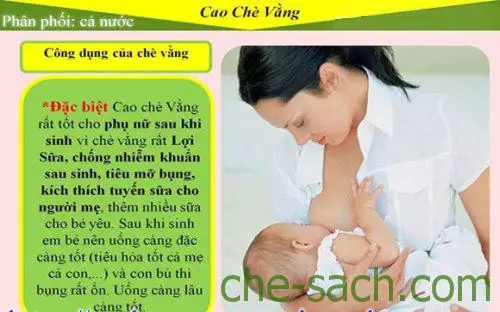 Cách Nấu Cao Chè Xanh Thanh Mát Chuẩn Vị Tại Nhà