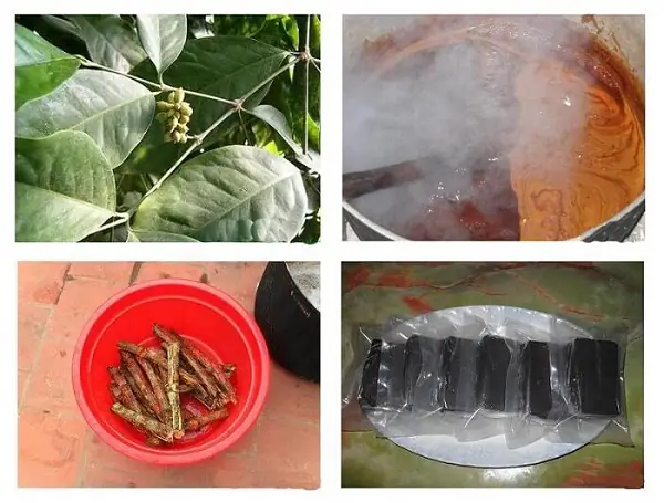Hướng Dẫn Chi Tiết Cách Nấu Cao Dây Gắm Tại Nhà