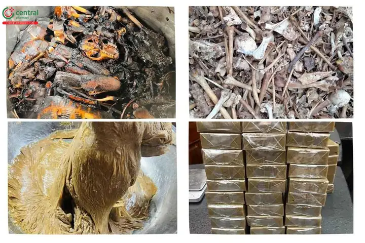 Cách Nấu Cao Động Vật: Từ A Đến Z Với Các Bước Thực Hiện