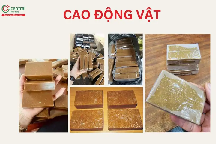 Cách Nấu Cao Động Vật: Từ A Đến Z Với Các Bước Thực Hiện