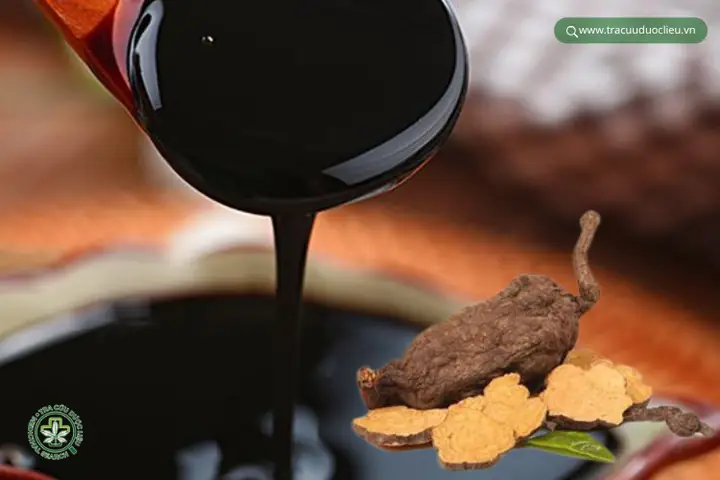 Cách Nấu Cao Hà Thủ Ô Tại Nhà Đơn Giản, Hiệu Quả