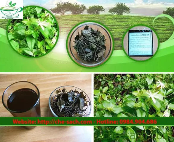 Cách Nấu Cao Lá Vằng Đúng Chuẩn Tại Nhà Để Dưỡng Sức