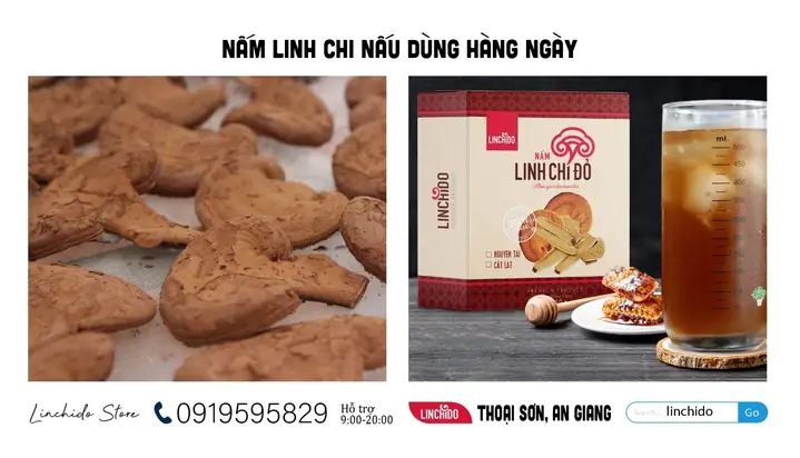 Cách Nấu Cao Nấm Linh Chi Tại Nhà Chuẩn Vị, Tối Ưu Dưỡng Chất