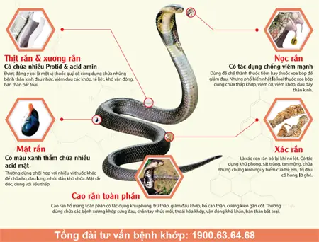 Cách nấu cao rắn hổ mang chữa: Quy trình và ứng dụng truyền thống