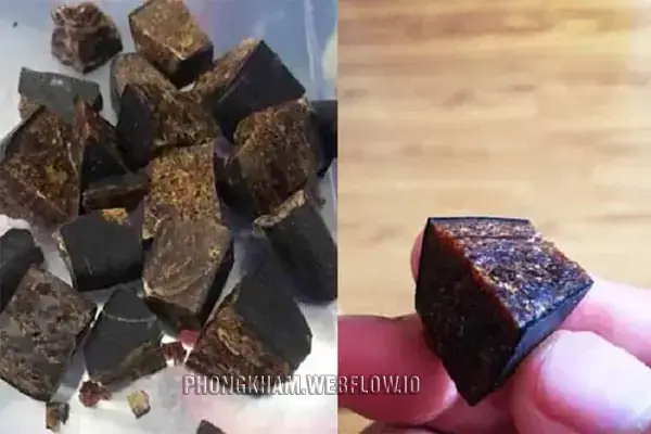 Cách Nấu Cao Sìn Sú Tại Nhà: Hướng Dẫn Quy Trình Chuẩn Xác