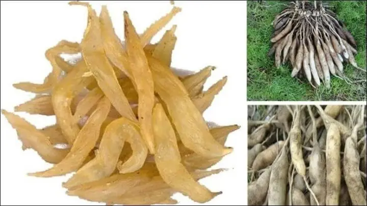 Hướng Dẫn Chi Tiết Cách Nấu Cao Thiên Môn Tại Nhà