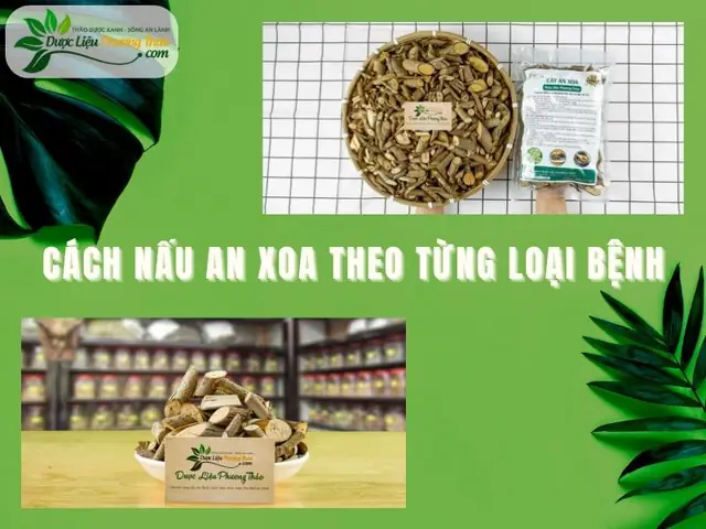 Cách nấu An Xoa theo từng loại bệnh Cách nấu An Xoa theo từng loại bệnh