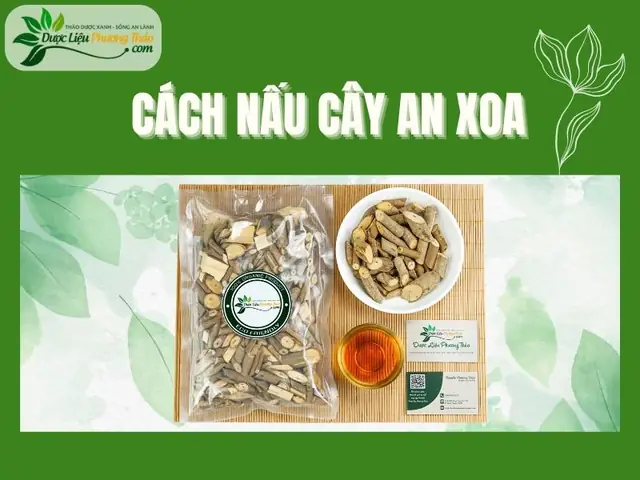 Cách nấu Cây An Xoa Cách nấu Cây An Xoa