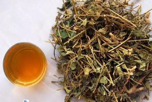 2. Công dụng và cách dùng cà gai leo