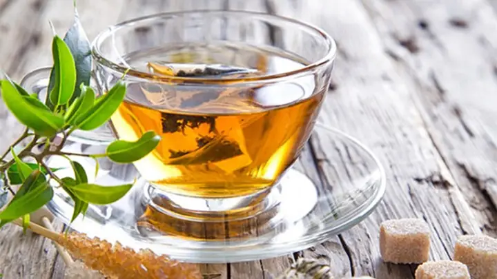 Cách nấu cây đinh lăng: Công thức ngon, bổ dưỡng tại nhà Cách nấu cây đinh lăng: Công thức ngon, bổ dưỡng tại nhà