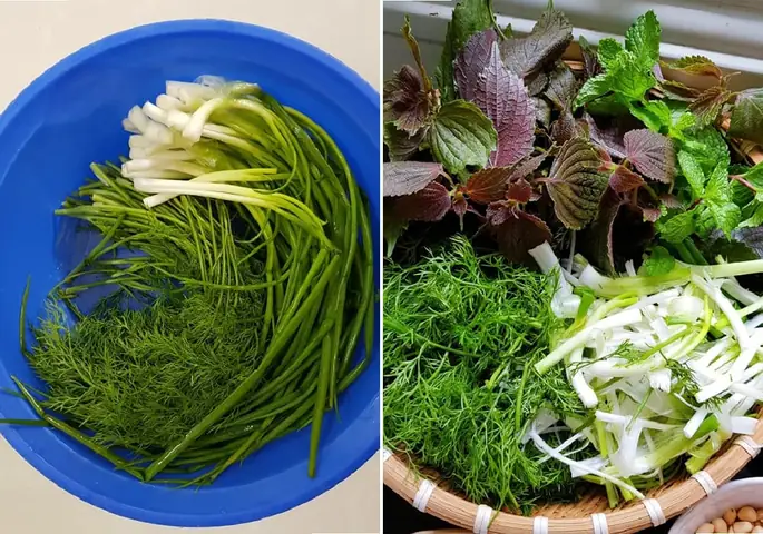 Cách Nấu Chả Cá Lã Vọng Chuẩn Vị Hà Nội Ngay Tại Nhà Cách Nấu Chả Cá Lã Vọng Chuẩn Vị Hà Nội Ngay Tại Nhà