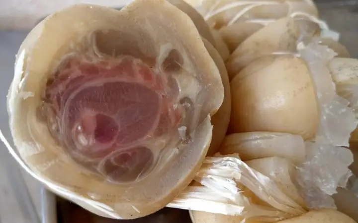 Hướng Dẫn Cách Nấu Chân Bò Nhanh Mềm Thơm Ngon