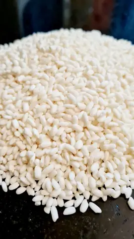 Hướng Dẫn Từng Bước Nấu Cháo Ba Ba Thơm Ngon Đầy Dưỡng Chất