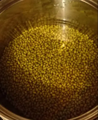 Hướng Dẫn Từng Bước Nấu Cháo Ba Ba Thơm Ngon Đầy Dưỡng Chất