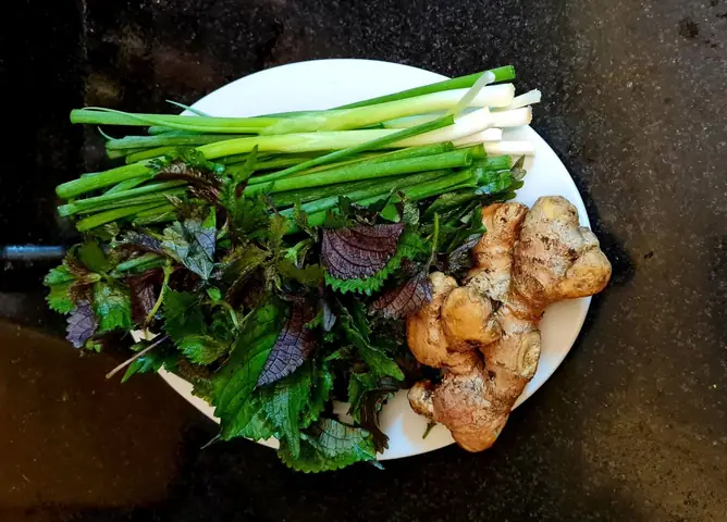 Hướng Dẫn Từng Bước Nấu Cháo Ba Ba Thơm Ngon Đầy Dưỡng Chất