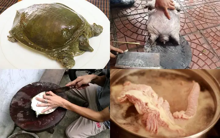 Cách Nấu Cháo Baba Cho Trẻ Thơm Ngon, Bổ Dưỡng Chuẩn Vị