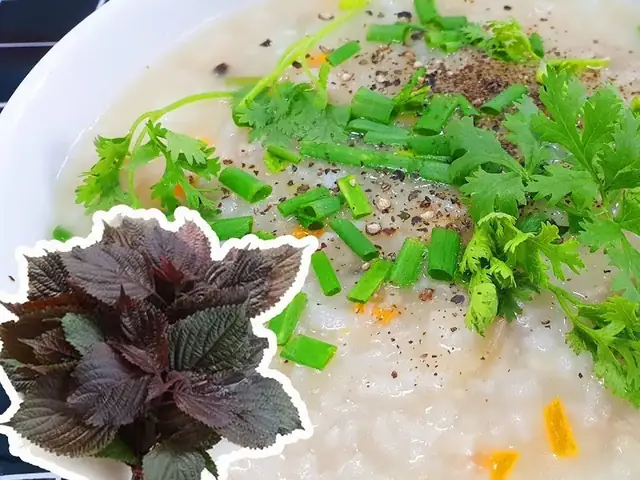 Hướng Dẫn Chi Tiết Cách Nấu Cháo Bằng Nồi Cơm Điện Panasonic